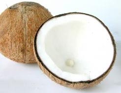 Coconut closed and open.