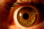 Th Trachoma Eye Health