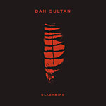 Dan Sultan - Blackbird