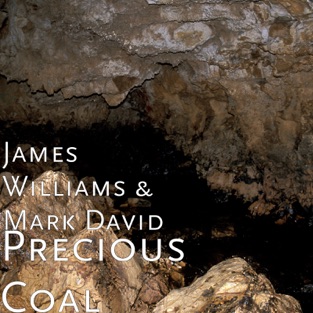 James Williams - Precious Coal (Single)