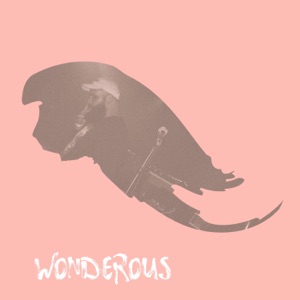 Blake Rhodes (Mr Rhodes) - Wonderous (Single)